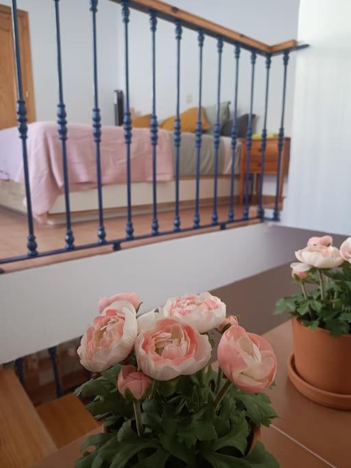 Casa Heli - Ruim Appartement Met Dakterras In Polopos מראה חיצוני תמונה